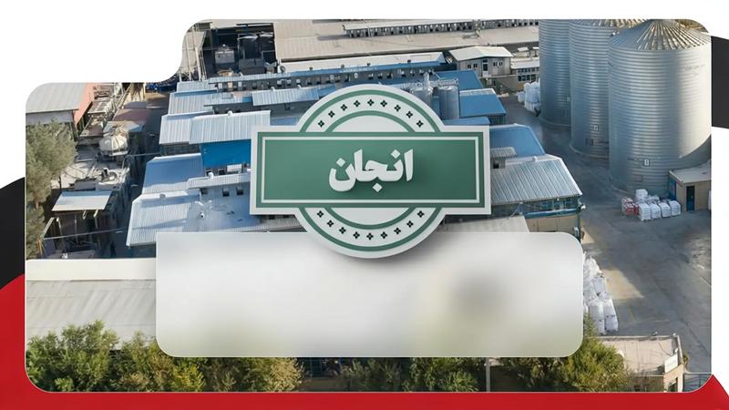 تامین سرمایه در گردش تولید پلی اتیلن