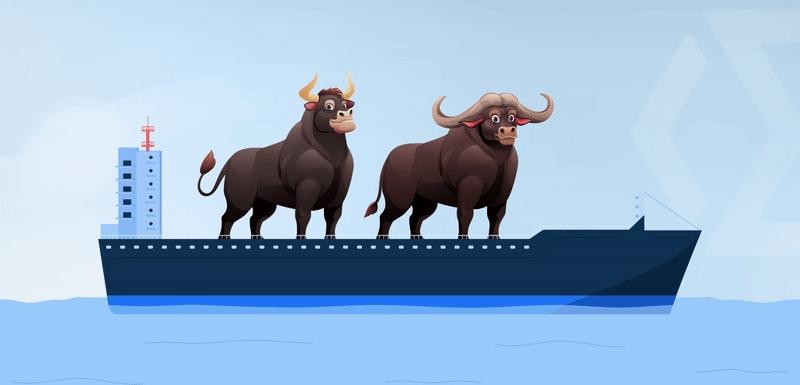 تأمین سرمایه در گردش واردات گوشت منجمد گاومیش